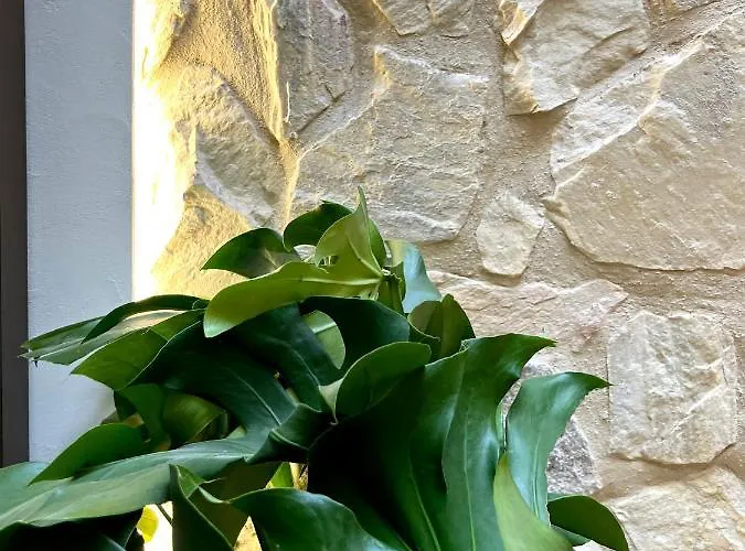 Arcos De Medina - Premium * Cordoue